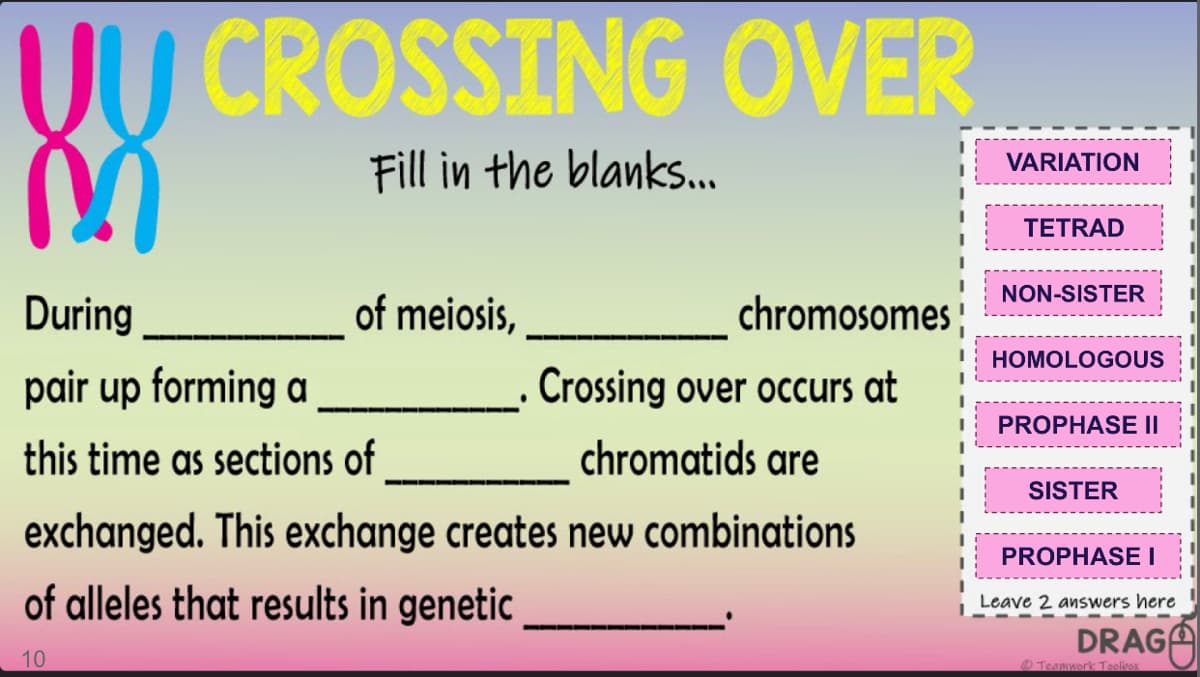 UU CROSSING OVER
Fill in the blanks...
VARIATION
TETRAD
NON-SISTER
During
of meiosis,
chromosomes ;
HOMOLOGOUS
pair up forming a
. Crossing over occurs at
PROPHASE II
this time as sections of
chromatids are
SISTER
exchanged. This exchange creates new combinations
PROPHASE I
of alleles that results in genetic
Leave 2 answers here
DRAGA
10
O Teamwork Toolieox
