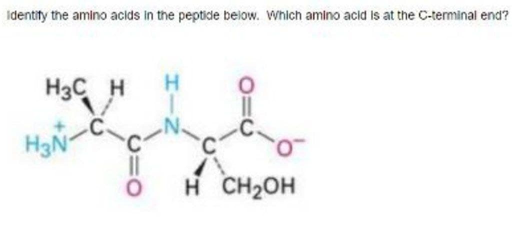 Identity the amino acids in the peptide below. Which amino acid is at the C-terminal end?
H.
H3C H
H CH2OH

