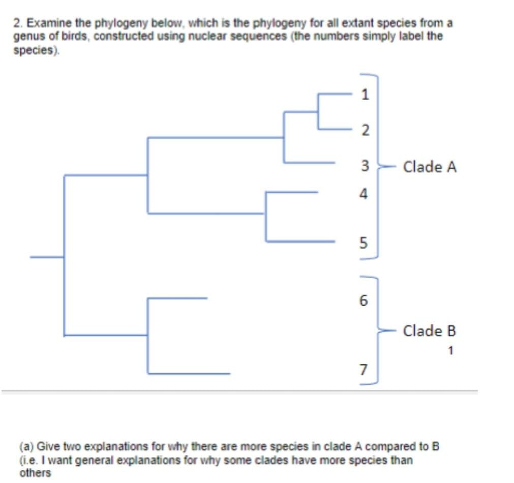 2. Examine the phylogeny below, which is the phylogeny for all extant species from a
genus of birds, constructed using nuclear sequences (the numbers simply label the
species).
2
3
Clade A
5
6
Clade B
1
7
(a) Give two explanations for why there are more species in clade A compared to B
(i.e. I want general explanations for why some clades have more species than
others
4.

