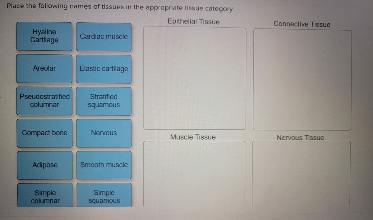 Place the following names of tissues in the appropriate tissue category.
Epithelial Tissue
Connective Tissue
Hyaline
Cartilage
Cardiac muscle
Areolar
Elastic cartilage
Pseudostratified
Stratified
columnar
squamous
Compact bone
Nervous
Muscle Tissue
Nervous Tissue
Adipose
Smooth muscle
Simple
Simple
columnar
squamous
