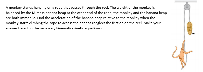 A monkey stands hanging on a rope that passes through the reel. The weight of the monkey is
balanced by the M-mass banana heap at the other end of the rope; the monkey and the banana heap
are both Immobile. Find the acceleration of the banana heap relative to the monkey when the
monkey starts climbing the rope to access the banana (neglect the friction on the reel. Make your
answer based on the necessary kinematic/kinetic equations).
