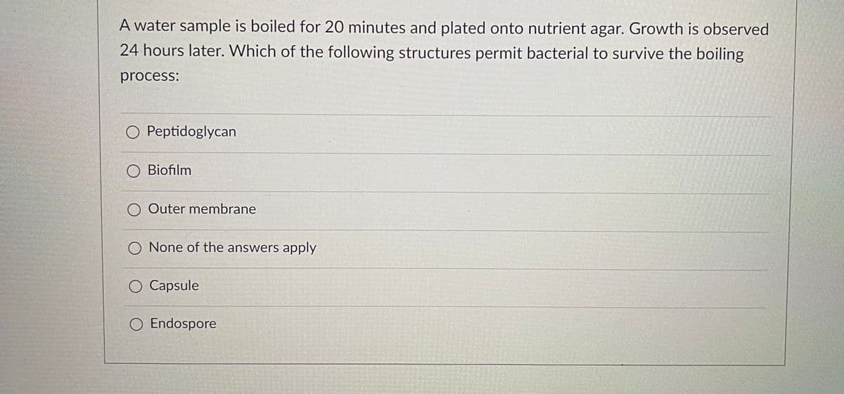 A water sample is boiled for 20 minutes and plated onto nutrient agar. Growth is observed
24 hours later. Which of the following structures permit bacterial to survive the boiling
process:
O Peptidoglycan
Biofilm
Outer membrane
O None of the answers apply
Capsule
O Endospore
