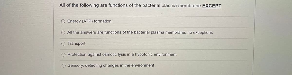 All of the following are functions of the bacterial plasma membrane EXCEPT
O Energy (ATP) formation
O All the answers are functions of the bacterial plasma membrane, no exceptions
O Transport
Protection against osmotic lysis in a hypotonic environment
O Sensory, detecting changes in the environment
