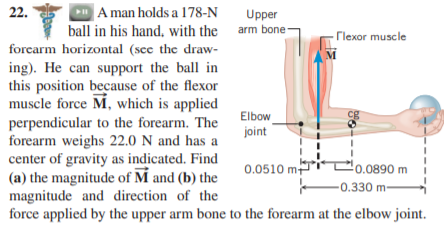 DA man holds a 178-N
ball in his hand, with the arm bone-
22.
Upper
- rlexor muscle
forcarm horizontal (sce the draw-
ing). He can support the ball in
this position because of the flexor
muscle force M, which is applied
perpendicular to the forearm. The
forearm weighs 22.0 N and has a
center of gravity as indicated. Find
(a) the magnitude of M and (b) the
magnitude and direction of the
force applied by the upper arm bone to the forearm at the elbow joint.
Elbow
cg
joint
'0.0890 m
-0.330 m-
0.0510 m
