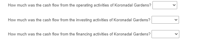 How much was the cash flow from the operating activities of Koronadal Gardens?
How much was the cash flow from the investing activities of Koronadal Gardens?
How much was the cash flow from the financing activities of Koronadal Gardens?
>
>
