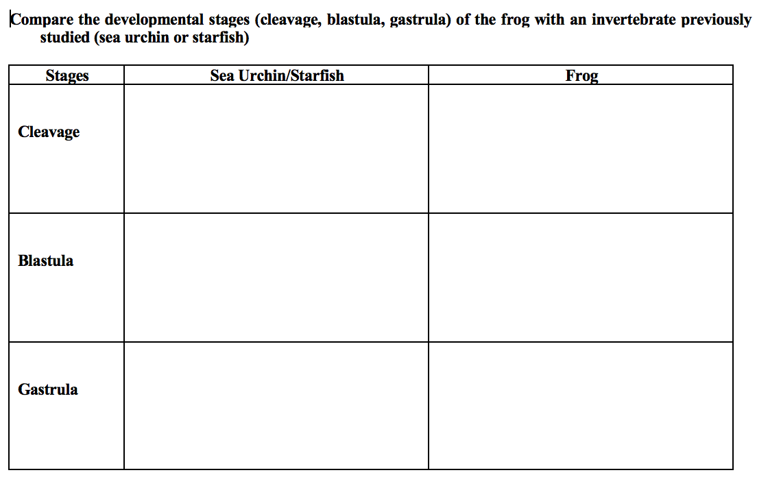 Compare the developmental stages (cleavage, blastula, gastrula) of the frog with an invertebrate previously
studied (sea urchin or starfish)
Stages
Sea Urchin/Starfish
Frog
Cleavage
Blastula
Gastrula
