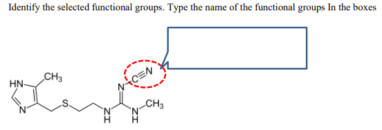 Identify the selected functional groups. Type the name of the functional groups In the boxes
HN-
CH3
EN
CH3