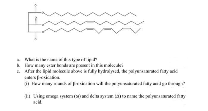 a. What is the name of this type of lipid?
b. How many ester bonds are present in this molecule?
c. After the lipid molecule above is fully hydrolysed, the polyunsaturated fatty acid
enters B-oxidation.
(i) How many rounds of ß-oxidation will the polyunsaturated fatty acid go through?
(ii) Using omega system (@) and delta system (A) to name the polyunsaturated fatty
acid.
