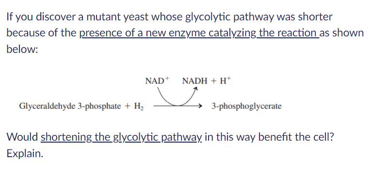 If you discover a mutant yeast whose glycolytic pathway was shorter
because of the presence of a new enzyme catalyzing the reaction as shown
below:
NAD* NADH + H*
Glyceraldehyde 3-phosphate + H,
3-phosphoglycerate
Would shortening the glycolytic pathway in this way benefit the cell?
Explain.
