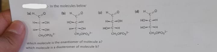 In the molecules below
(a) H
(b) O
H-C-OH
HO-C-H
H-C-OH
HO-C-H
HO-C-H
HO-C-H
H-C-OH
-CIO
CH,OPo,
CH,OPO,
CH,OPO,
CHOPO,
Which molecule is the enantiomer of molecule a?
which molecule is a diasteromer of molecule b?
