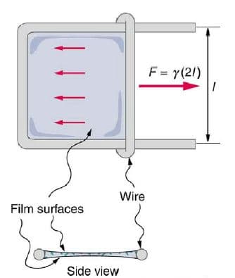 F = y(2/)
Wire
Film surfaces
Side view
