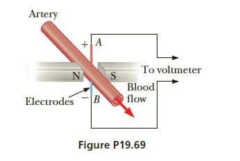 Artery
+|A
To voltmeter
N S
Blood
flow
Electrodes
Figure P19.69
