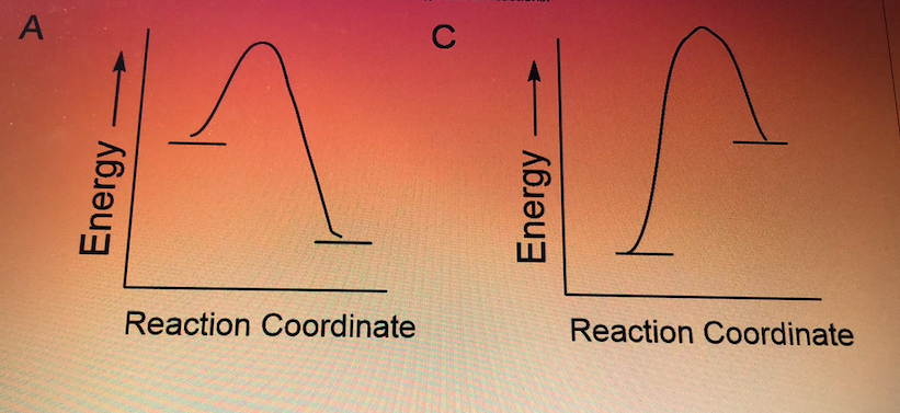 A
Energy
Reaction Coordinate
C
Energy
Reaction Coordinate