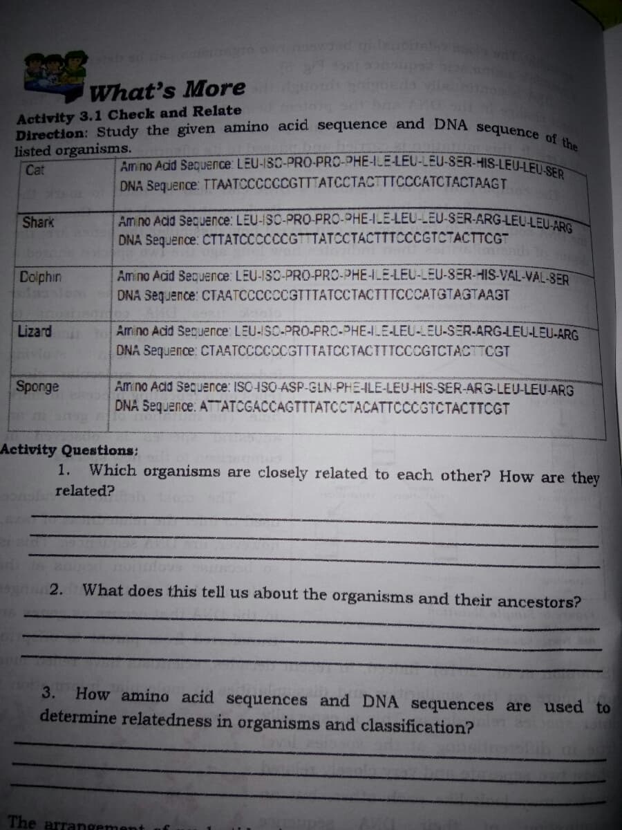Direction: Study the given amino acid sequence and DNA sequence of the
Amino Acid Sequence: LEU-ISC-PRO-PRO-PHE-ILE-LEU-LEU-SER-HIS-LEU-LEU-SER
What's More
Activity 3.1 Check and Relate
listed organisms.
Cat
DNA Sequence: TTAATCCCCCCGTTTATCCTACTTTCCCATCTACTAAGT
Am no Acid Sequence: LEU-ISC-PRO-PRO-PHE-ILE-LEU-EU-SER-ARG-LEU-LEU.AD
DNA Sequence: CTTATCCCCCCGTTTATCCTACTTTCCCGTCTACTTCGT
Shark
Amino Acid Sequence: LEU-ISC-PRO-PRO-PHE-ILE-LEU-LEU-SER-HIS-VAL-VAL-SER
DNA Sequence: CTAATCCCCCCGTTTATCCTACTTTCCCATGTAGTAAGT
Colphin
Amino Acid Sequence: LEU-ISO-PRO-PRO-PHE-LE-LEU-LEU-SER-ARG-LEU-LEU-ARG
DNA Sequence: CTAATCCCCCCGTTTATCCTACTTTCCCGTCTACTTCGT
Lizard
Amino Add Sequence: ISO-4SO ASP-GLN-PHE-ILE-LEU-HIS-SER-ARG-LEU-LEU-ARG
DNA Sequence: ATTATCGACCAGTTTATCCTACATTCCCGTCTACTTCGT
Sponge
Activity Questions:
1. Which organisms are closely related to each other? How are they
related?
2.
What does this tell us about the organisms and their ancestors?
3.
How amino acid sequences and DNA sequences are used to
determine relatedness in organisms and classification?
The arr
