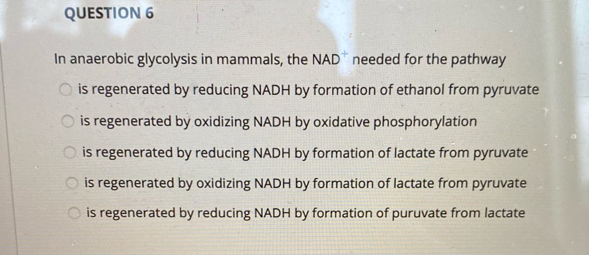 QUESTION 6
In anaerobic glycolysis in mammals, the NAD needed for the pathway
O is regenerated by reducing NADH by formation of ethanol from pyruvate
is regenerated by oxidizing NADH by oxidative phosphorylation
is regenerated by reducing NADH by formation of lactate from pyruvate
is regenerated by oxidizing NADH by formation of lactate from pyruvate
is regenerated by reducing NADH by formation of puruvate from lactate
O O O OO
