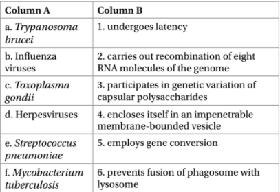 Column A
Column B
a. Trypanosoma
brucei
1. undergoes latency
b. Influenza
2. carries out recombination of eight
RNA molecules of the genome
viruses
с. Тохорlasma
| gondii
3. participates in genetic variation of
capsular polysaccharides
d. Herpesviruses
4. encloses itself in an impenetrable
membrane-bounded vesicle
5. employs gene conversion
e. Streptococcus
pпeumoniae
f. Mycobacterium 6. prevents fusion of phagosome with
tuberculosis
lysosome

