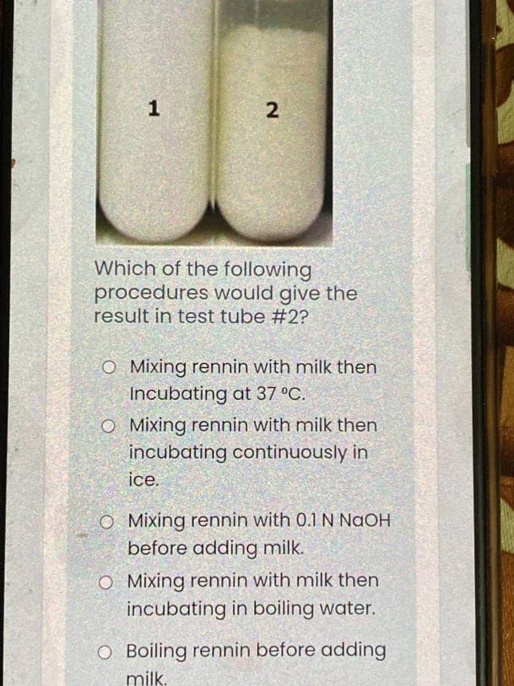 1
2
Which of the following
procedures would give the
result in test tube #2?
O Mixing rennin with milk then
Incubating at 37 °C.
O Mixing rennin with milk then
incubating continuously in
ice.
O Mixing rennin with 0.1 N NaOH
before adding milk.
O Mixing rennin with milk then
incubating in boiling water.
O Boiling rennin before adding
milk.
