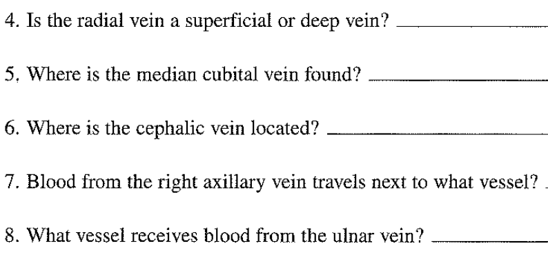 4. Is the radial vein a superficial or deep vein?
5. Where is the median cubital vein found?
6. Where is the cephalic vein located?
7. Blood from the right axillary vein travels next to what vessel?
8. What vessel receives blood from the ulnar vein?
