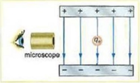 microscope
