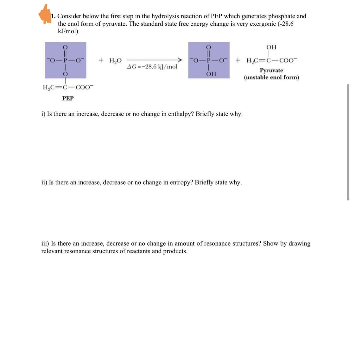 1. Consider below the first step in the hydrolysis reaction of PEP which generates phosphate and
the enol form of pyruvate. The standard state free energy change is very exergonic (-28.6
kJ/mol).
OH
"0-P-O-
+ H2O
0-P-O
+ H,C=C-COO-
AG =-28,6 kJ/mol
Pyruvate
(unstable enol form)
OH
H,C=C-C00-
РЕР
i) Is there an increase, decrease or no change in enthalpy? Briefly state why.
ii) Is there an increase, decrease or no change in entropy? Briefly state why.
iii) Is there an increase, decrease or no change in amount of resonance structures? Show by drawing
relevant resonance structures of reactants and products.
