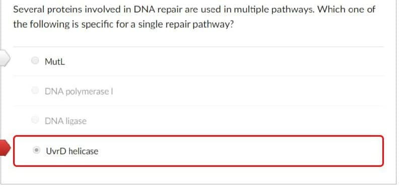 Several proteins involved in DNA repair are used in multiple pathways. Which one of
the following is specific for a single repair pathway?
MutL
DNA polymerase l
DNA ligase
UvrD helicase
