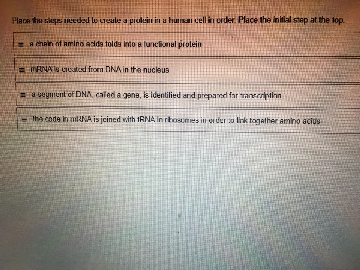 Place the steps needed to create a protein in a human cell in order. Place the initial step at the top.
= a chain of amino acids folds into a functional protein
= MRNA is created from DNA in the nucleus
= a segment of DNA, called a gene, is identified and prepared for transcription
= the code in MRNA is joined with tRNA in ribosomes in order to link together amino acids
