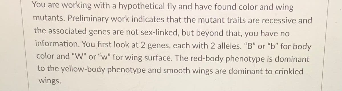 You are working with a hypothetical fly and have found color and wing
mutants. Preliminary work indicates that the mutant traits are recessive and
the associated genes are not sex-linked, but beyond that, you have no
information. You first look at 2 genes, each with 2 alleles. "B" or “b" for body
color and "W" or "w" for wing surface. The red-body phenotype is dominant
to the yellow-body phenotype and smooth wings are dominant to crinkled
wings.
