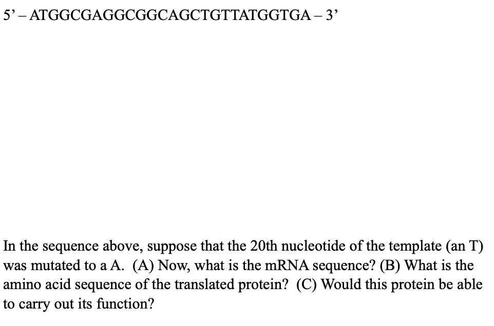 5'– ATGGCGAGGCGGCAGCTGTTATGGTGA – 3'
In the sequence above, suppose that the 20th nucleotide of the template (an T)
was mutated to a A. (A) Now, what is the mRNA sequence? (B) What is the
amino acid sequence of the translated protein? (C) Would this protein be able
to carry out its function?
