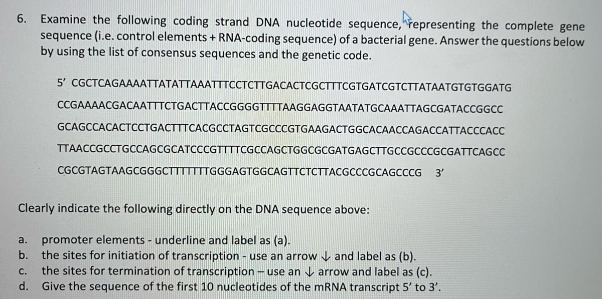 6. Examine the following coding strand DNA nucleotide sequence,^representing the complete gene
sequence (i.e. control elements + RNA-coding sequence) of a bacterial gene. Answer the questions below
by using the list of consensus sequences and the genetic code.
5' CGCTCAGAAAATTATATTAAATTTCCTCTTGACACTCGCTTTCGTGATCGTCTTATAATGTGTGGATG
CCGAAAACGACAATTTCTGACTTACCGGGGTTTTAAGGAGGTAATATGCAAATTAGCGATACCGGCC
GCAGCCACACTCCTGACTTTCACGCCTAGTCGCCCGTGAAGACTGGCACAACCAGACCATTACCCACC
TTAACCGCCTGCCAGCGCATCCCGTTTTCGCCAGCTGGCGCGATGAGCTTGCCGCCCGCGATTCAGCC
CGCGTAGTAAGCGGGCTTTTTTTGGGAGTGGCAGTTCTCTTACGCCCGCAGCCCG
3'
Clearly indicate the following directly on the DNA sequence above:
promoter elements - underline and label as (a).
the sites for initiation of transcription - use an arrow V and label as (b).
the sites for termination of transcription – use an V arrow and label as (c).
d. Give the sequence of the first 10 nucleotides of the mRNA transcript 5' to 3'.
a.
b.
С.
