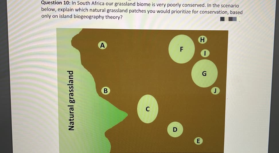 Question 10: In South Africa our grassland biome is very poorly conserved. In the scenario
below, explain which natural grassland patches you would prioritize for conservation, based
only on island biogeography theory?
B
Natural grassland
