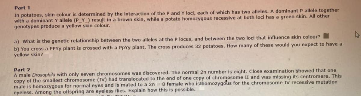 Part 1
In potatoes, skin colour is determined by the interaction of the P and Y loci, each of which has two alleles. A dominant P allele together
with a dominant Y allele (P_Y_) result in a brown skin, while a potato homozygous recessive at both loci has a green skin. All other
genotypes produce a yellow skin colour.
a) What is the genetic relationship between the two alleles at the P locus, and between the two loci that influence skin colour?
b) You cross a PPYY plant is crossed with a PpYy plant. The cross produces 32 potatoes. How many of these would you expect to have a
yellow skin?
Part 2
A male Drosophila with only seven chromosomes was discovered. The normal 2n number is eight. Close examination showed that one
copy of the smallest chromosome (IV) had translocated to the end of one copy of chromosome II and was missing its centromere. This
male is homozygous for normal eyes and is mated to a 2n = 8 female who isthomozygous for the chromosome IV recessive mutation
eyeless. Among the offspring are eyeless flies. Explain how this is possible.

