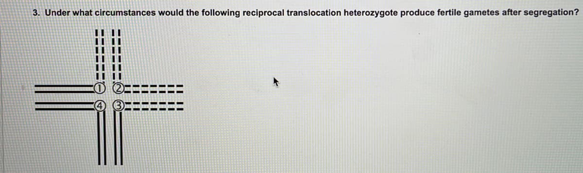 3. Under what circumstances would the following reciprocal translocation heterozygote produce fertile gametes after segregation?
