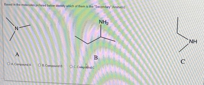 Based in the molecules pictured below identify which of them is the "Secondary" Amine(s):
N
A
OA. Compound A OB. Compound B
B
OC. Compound C
NH2₂
C
NH