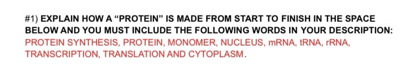 # 1) EXPLAIN HOW A “PROTEIN" IS MADE FROM START TO FINISH IN THE SPACE
BELOW AND YOU MUST INCLUDE THE FOLLOWING WORDS IN YOUR DESCRIPTION:
PROTEIN SYNTHESIS, PROTEIN, MONOMER, NUCLEUS, MRNA, TRNA, FRNA,
TRANSCRIPTION, TRANSLATION AND CYTOPLASM.
