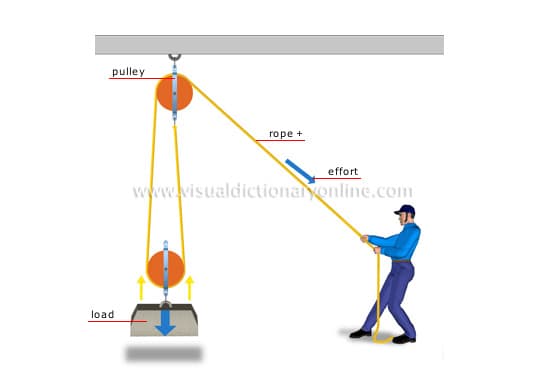 pulley
rope +
effort
www.visualdictionalonline.com
load
