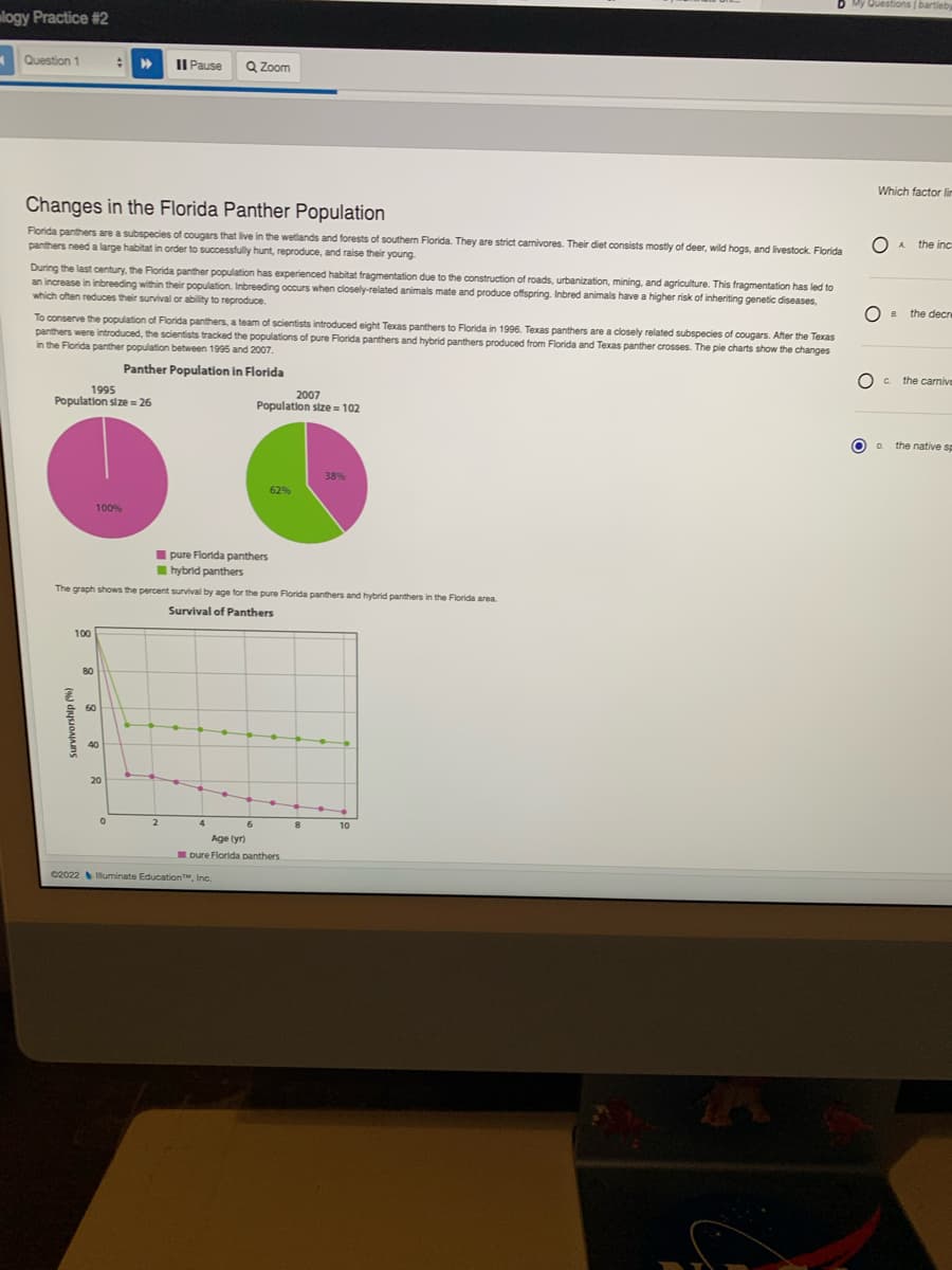 logy Practice #2
x
Question 1
Changes in the Florida Panther Population
Florida panthers are a subspecies of cougars that live in the wetlands and forests of southern Florida. They are strict carnivores. Their diet consists mostly of deer, wild hogs, and livestock. Florida
panthers need a large habitat in order to successfully hunt, reproduce, and raise their young.
During the last century, the Florida panther population has experienced habitat fragmentation due to the construction of roads, urbanization, mining, and agriculture. This fragmentation has led to
an increase in inbreeding within their population. Inbreeding occurs when closely-related animals mate and produce offspring. Inbred animals have a higher risk of inheriting genetic diseases,
which often reduces their survival or ability to reproduce.
To conserve the population of Florida panthers, a team of scientists introduced eight Texas panthers to Florida in 1996. Texas panthers are a closely related subspecies of cougars. After the Texas
panthers were introduced, the scientists tracked the populations of pure Florida panthers and hybrid panthers produced from Florida and Texas panther crosses. The pie charts show the changes
in the Florida panther population between 1995 and 2007.
Panther Population in Florida
1995
Population size = 26
(%) dans
100
:>>> II Pause
80
100%
60
40
The graph shows the percent survival by age for the pure Florida panthers and hybrid panthers in the Florida area.
Survival of Panthers
20
0
Q Zoom
2
pure Florida panthers
hybrid panthers
4
2007
Population size = 102
C2022 Illuminate Education, Inc.
62%
6
Age (yr)
pure Florida panthers
38%
8
10
My Questions | bartleb
Which factor lin
OA the inc
OB
O
the decre
Oc the carnive
D. the native sp