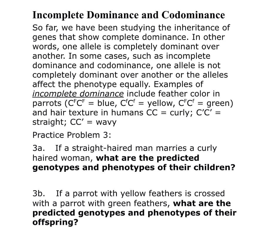 Incomplete Dominance and Codominance
So far, we have been studying the inheritance of
genes that show complete dominance. In other
words, one allele is completely dominant over
another. In some cases, such as incomplete
dominance and codominance, one allele is not
completely dominant over another or the alleles
affect the phenotype equally. Examples of
incomplete dominance include feather color in
parrots (C*C* = blue, C'C = yellow, C*Cf = green)
and hair texture in humans CC = curly; C'C' =
straight; CC' =
wavy
Practice Problem 3:
За.
If a straight-haired man marries a curly
haired woman, what are the predicted
genotypes and phenotypes of their children?
If a parrot with yellow feathers is crossed
with a parrot with green feathers, what are the
predicted genotypes and phenotypes of their
offspring?
3b.
