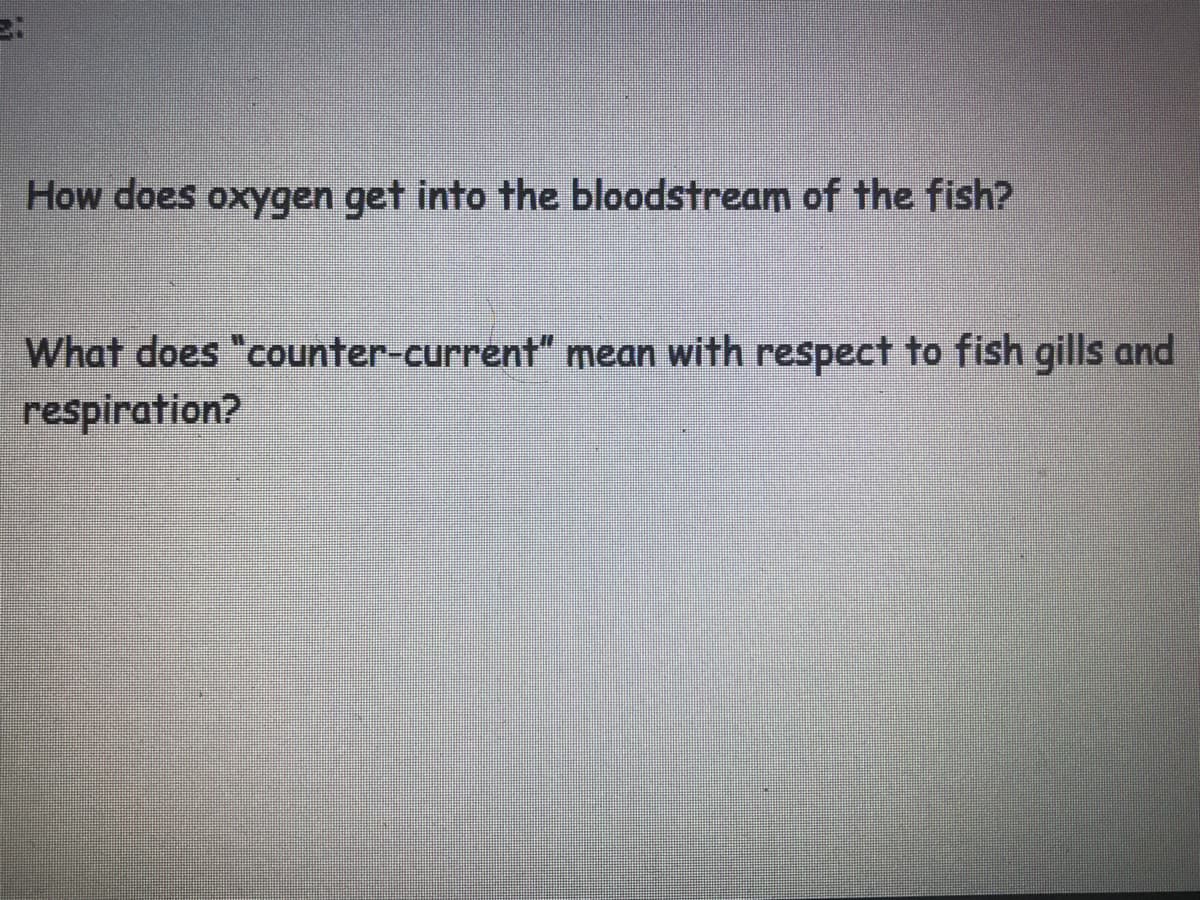 How does oxygen get into the bloodstream of the fish?
What does "counter-current" mean with respect to fish gills and
respiration?
