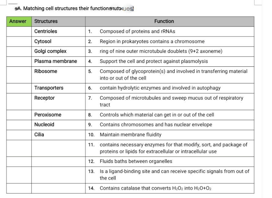 9A. Matching cell structures their functionsiutocues)
Answer Structures
Function
Centrioles
1. Composed of proteins and rRNAs
Cytosol
2.
Region in prokaryotes contains a chromosome
Golgi complex
3.
ring of nine outer microtubule doublets (9+2 axoneme)
Plasma membrane
4.
Support the cell and protect against plasmolysis
Ribosome
5.
Composed of glycoprotein(s) and involved in transferring material
into or out of the cell
Transporters
6.
contain hydrolytic enzymes and involved in autophagy
Receptor
7.
Composed of microtubules and sweep mucus out of respiratory
tract
Peroxisome
8.
Controls which material can get in or out of the cell
Nucleoid
9.
Contains chromosomes and has nuclear envelope
Cilia
10. Maintain membrane fluidity
11. contains necessary enzymes for that modify, sort, and package of
proteins or lipids for extracellular or intracellular use
12. Fluids baths between organelles
13. Is a ligand-binding site and can receive specific signals from out of
the cell
14. Contains catalase that converts H2O2 into H20+O2
