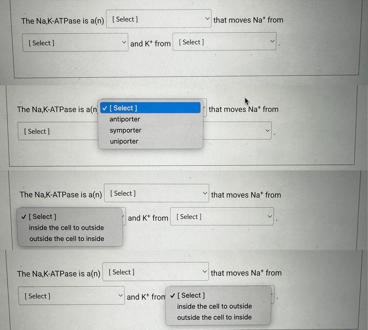 The Na,K-ATPase is a(n) [Select ]
[Select]
The Na,K-ATPase is a(n)
[Select]
✓ [Select ]
The Na,K-ATPase is a(n) [Select ]
inside the cell to outside
outside the cell to inside
and Kt from [Select]
[Select]
antiporter
symporter
uniporter
[Select]
and Kt from [Select]
The Na,K-ATPase is a(n) [Select ]
that moves Na+ from
and Kt from ✔ [ Select]
that moves Na+ from
>
that moves Na+ from
✓that moves Na+ from
inside the cell to outside
outside the cell to inside
>