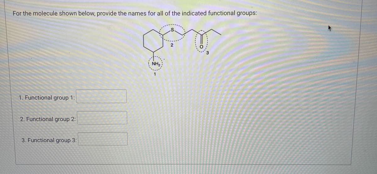 For the molecule shown below, provide the names for all of the indicated functional groups:
ger
2
3
NH₂
1
1. Functional group 1:
2. Functional group 2:
3. Functional group 3: