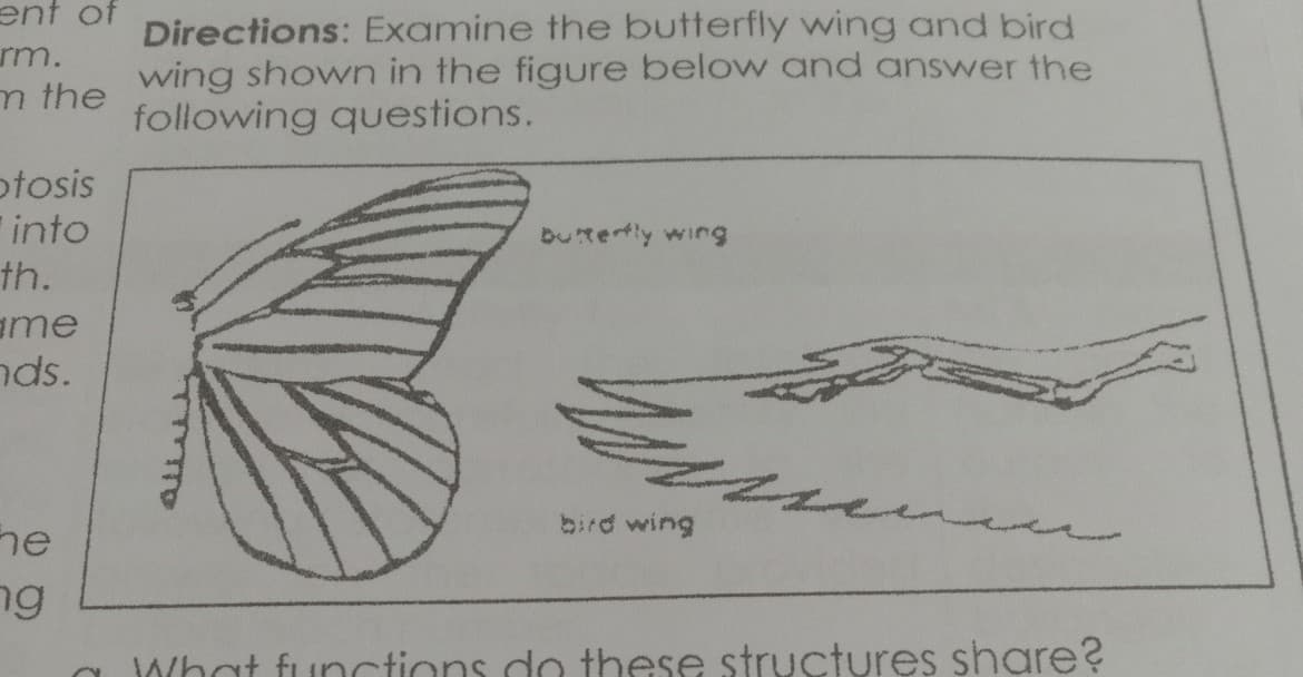 ent of
rm.
m the
Directions: Examine the butterfly wing and bird
wing shown in the figure below and answer the
following questions.
otosis
into
butertly wing
th.
ame
nds.
bird wing
he
ng
What functions do these structures share?

