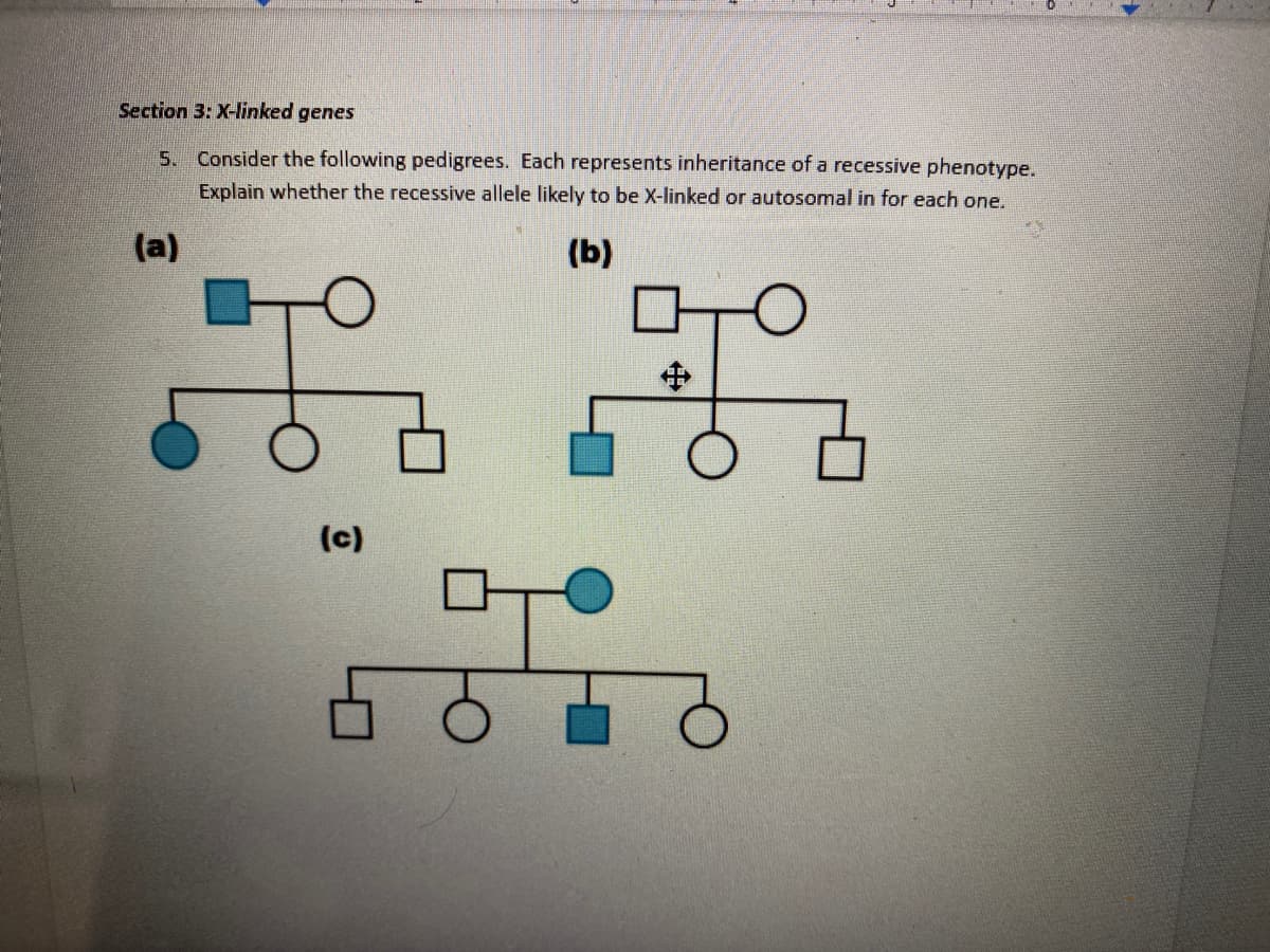 Section 3: X-linked genes
5. Consider the following pedigrees. Each represents inheritance of a recessive phenotype.
Explain whether the recessive allele likely to be X-linked or autosomal in for each one.
(a)
(b)
中
(c)
