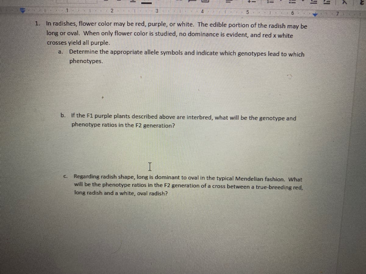 2.
3
1. In radishes, flower color may be red, purple, or white. The edible portion of the radish may be
long or oval. When only flower color is studied, no dominance is evident, and red x white
crosses yield all purple.
Determine the appropriate allele symbols and indicate which genotypes lead to which
a.
phenotypes.
b. If the F1 purple plants described above are interbred, what will be the genotype and
phenotype ratios in the F2 generation?
C. Regarding radish shape, long is dominant to oval in the typical Mendelian fashion. What
will be the phenotype ratios in the F2 generation of a cross between a true-breeding red,
long radish and a white, oval radish?
