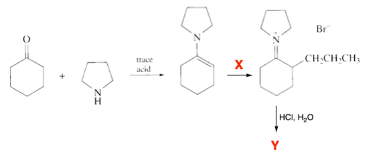Br
trace
.CH.CH,CH;
acid
HCI, H2O
Y
ZI
+
