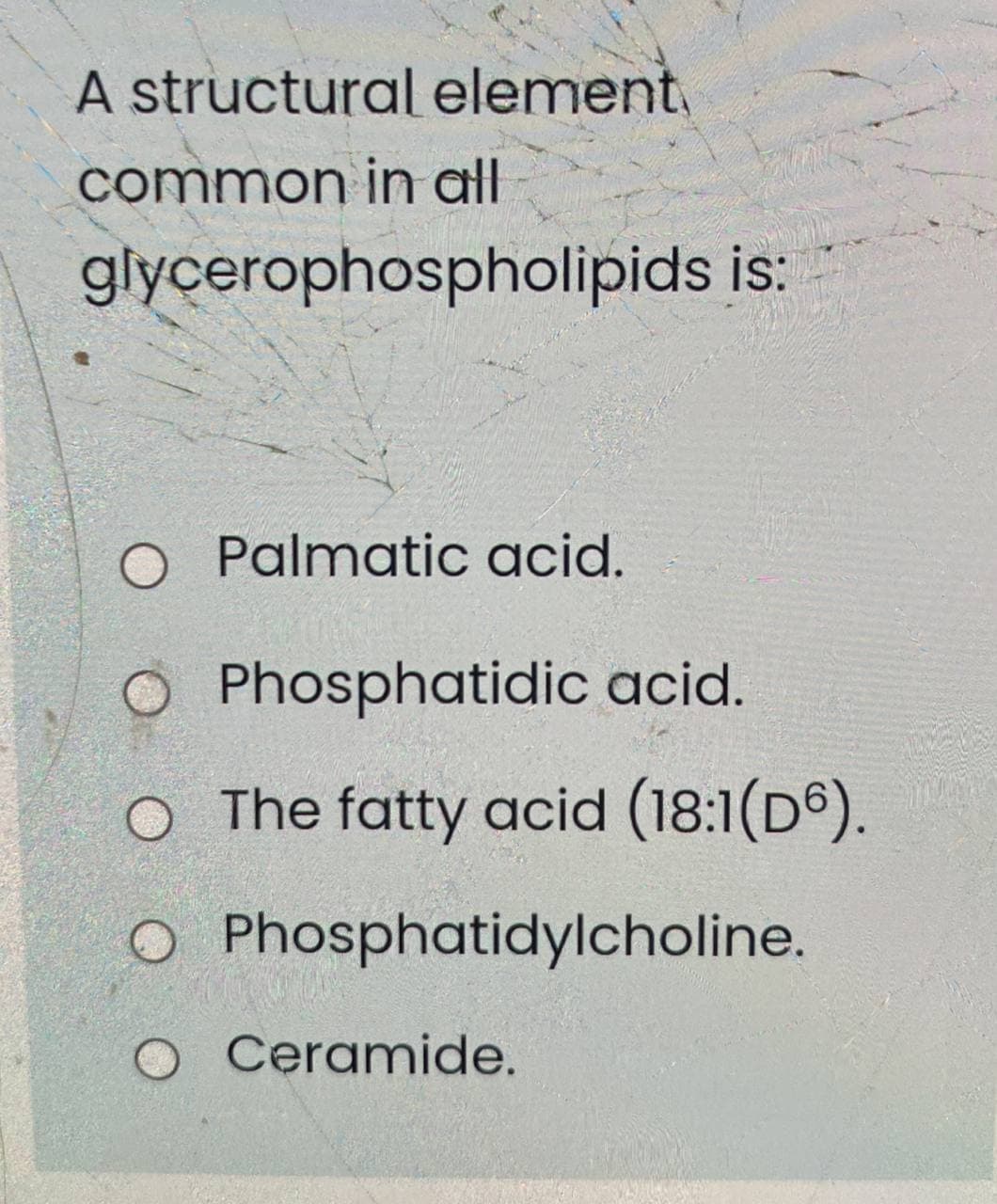 A structural element,
common in all
glycerophospholipids is:
O Palmatic acid.
O Phosphatidic acid.
O The fatty acid (18:1(D6).
Phosphatidylcholine.
O Ceramide.
