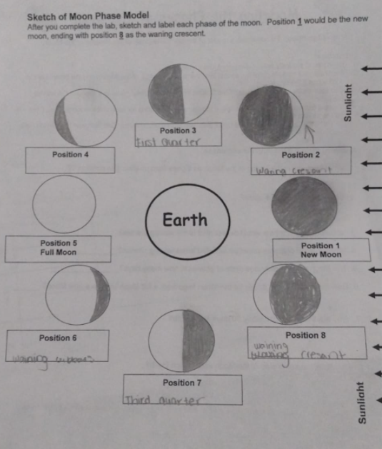 Sketch of Moon Phase Model
After you complete the lab, sketch and label each phase of the moon. Position 1 would be the new
moon, ending with position 8 as the waning crescent.
Position 3
East Qorter
Position 4
Position 2
Lwanra creant
Earth
Position 5
Full Moon
Position 1
New Moon
Position 6
Position 8
Position 7
Third Quorter
Sunliaht
Sunliaht
