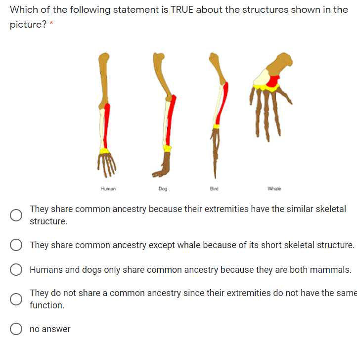 Which of the following statement is TRUE about the structures shown in the
picture? *
Human
Dog
Bird
Whale
They share common ancestry because their extremities have the similar skeletal
structure.
They share common ancestry except whale because of its short skeletal structure.
Humans and dogs only share common ancestry because they are both mammals.
They do not share a common ancestry since their extremities do not have the same
function.
no answer
