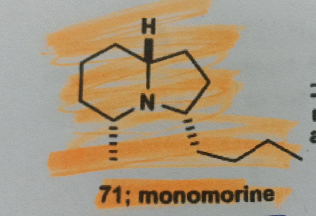 H
N
71; monomorine