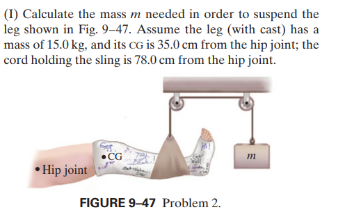 (I) Calculate the mass m needed in order to suspend the
leg shown in Fig. 9–47. Assume the leg (with cast) has a
mass of 15.0 kg, and its CG is 35.0 cm from the hip joint; the
cord holding the sling is 78.0 cm from the hip joint.
•CG
• Hip joint
m
FIGURE 9-47 Problem 2.
